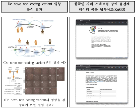De novo non-coding vatiant effect analysis result and snapshot of - Korean Autism Genomics Database webpage