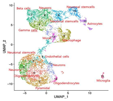 Cell tumor analysis of brain developmental disease mutant (KO) cell population