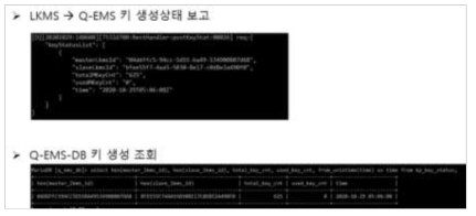 Q-EMS 키 생성 보고 및 조회 결과