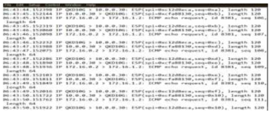 Q-IPSeC ESP packet 생성실험 결과