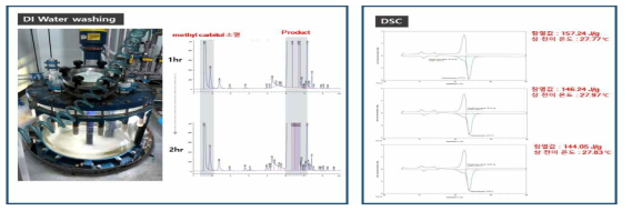 최종 Product distillation 정제 및 product DSC 분석