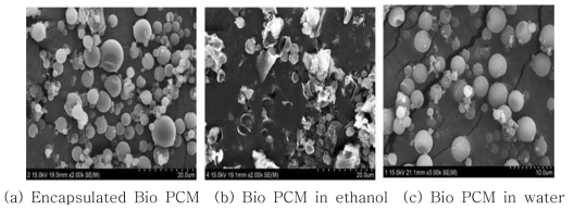 SEM 사진으로 관찰한 Bio PCM 상태