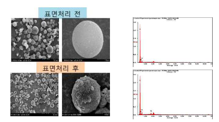 표면처리 전후 Bio PCM의 SEM 이미지와 EDX 결과