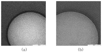 단일 벽재로 이루어진 입자(a)와 이중 벽재로 이루어진 입자(b)의 단면사진