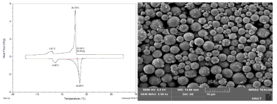 DSC 분석(좌) 및 SEM 분석(우) 결과