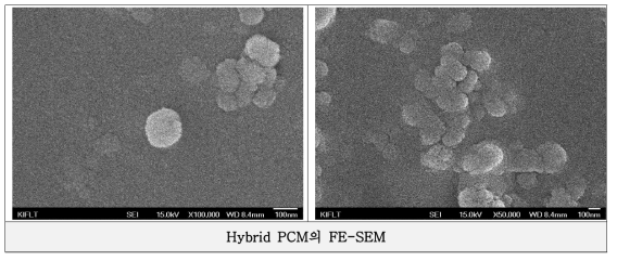 Hybrid PCM(HP28M)의 FE-SEM