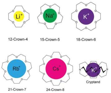 크라운에테르(Crown ether)와 양이온과의 예상 배위 결합