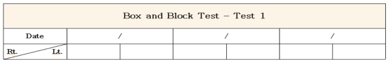 Box and Block Test 평가지