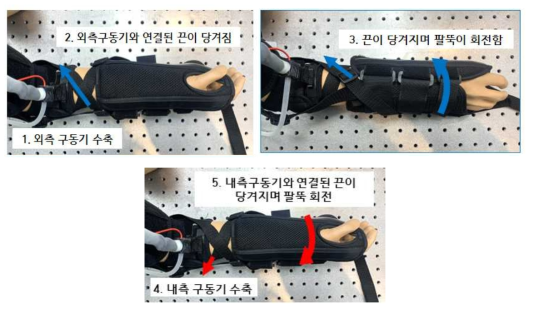 팔뚝 회전 움직임 예시