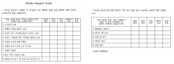 Stroke Impact Scale 뇌졸중 회복 척도