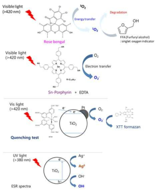 N719/Pt-TiO2/Vis 시스템은 그림의 메커니즘으로 superoxide 발생시킴