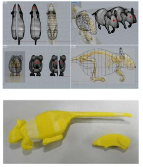 실제 실험용 마우스의 골격을 기반으로 하는 phantom 시료의 제작