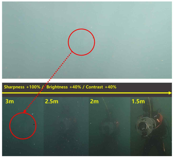 수중 시야가 제한되는 환경에서 사물의 인지 차이(개체 사이의 거리 : 3m → 1.5m)