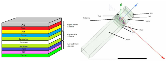 안테나 설계 시뮬레이션 셋업: (a) 안테나 주위 물질 구성도, (b) 3D전파 시뮬레이션 내의 셋업
