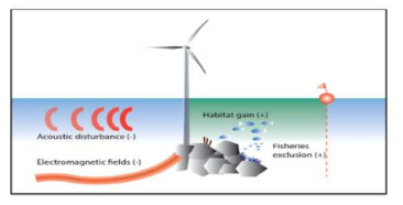 해상풍력발전시설 건설 단계에서 해양환경에 대한 영향(개념도) 자료: Bergström et al. (2014)