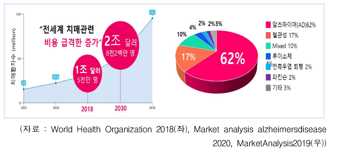 고령화로 인한 전 세계적 문제 : 치매