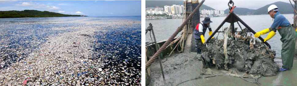국내 연안에서 발생하는 해양부유 및 침적 쓰레기 문제