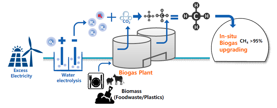 미생물 공정 활용 생물학적 바이오가스화 기술개발 개념도