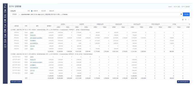 통합RCMS의 연구비 집행현황 확인 화면(시뮬레이션)