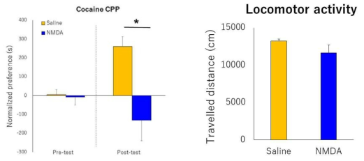 Cocaine CPP 측정 실험 결과와 운동능력의 비교