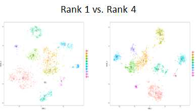 사회적 지위에 관한 동물모델에서 사회적 지위 (social rank) 에 따른 단일세포 수준의 전사체 분포 차이