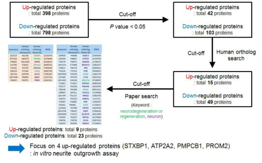 Membrane proteomics를 활용한 타겟 단백질 선정의 work flow