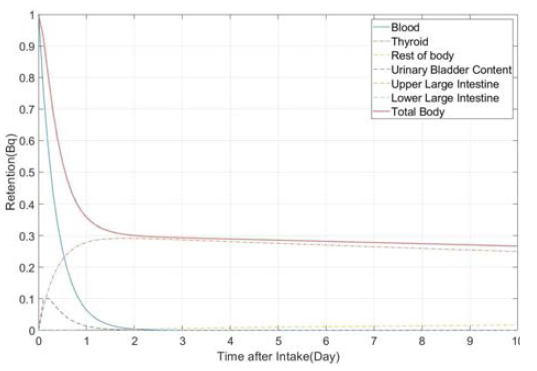 125I의 단일 섭취 이후의 잔류방사능 예측값