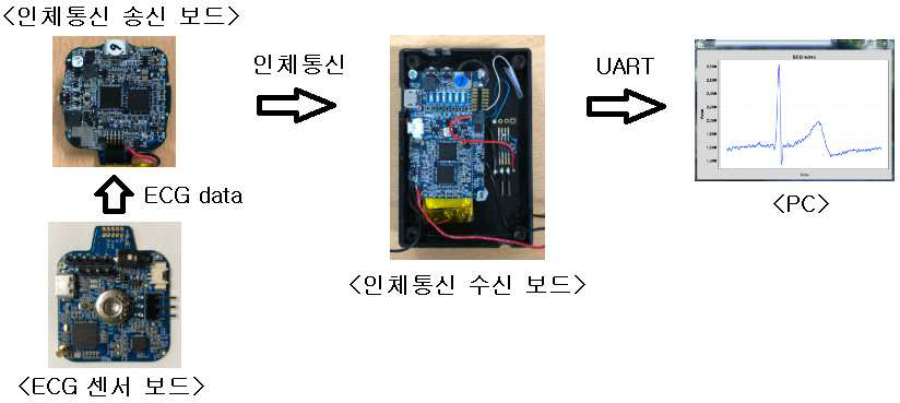 인체통신을 통한 웨어러블 ECG 측정 디바이스 모식도