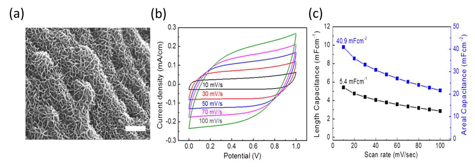 (a) 인가 전압, 증착 시간 등의 공정 조건 조절을 통해 제조된 다공성 이산화망간 나노구조체 박막 (스케일 바 = 150nm). (b) 스캔속도 10~100 mV/s에서 측정한 CV 커브, 높은 스캔 속도에서도 사각형 형태의 모양을 잘 유지함. (c) 스캔속도 10~100mV/s에서 측정한 나일론 마이크로-나노 섬유기반 슈퍼커패시터의 단일전극의 단위 길이 (legnth-normalized) 및 표면적 (area-normalized) 당 계산된 비용량 (specific capacitance) 값