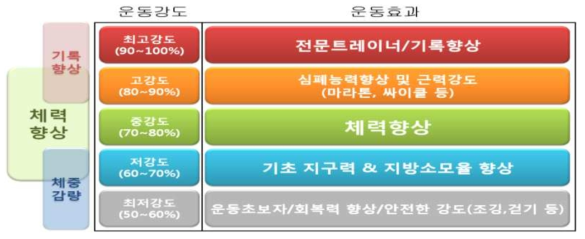 운동강도와 운동효과의 상관관계 예