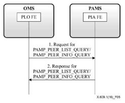 PAMP 기본 동작: 피어 상태 정보 요청 절차