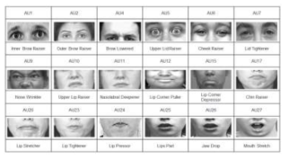 FACS에 정의된 표정의 최소단위인 AU 예시