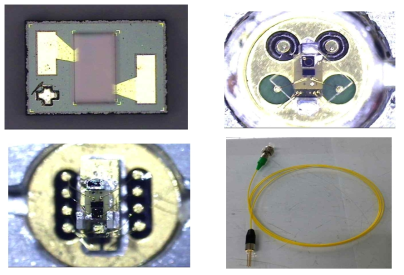 CWDM VCSEL chip on submount, TO, TEC TO, fiber pigtail 사진