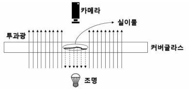 선이물을 포함한 커버글라스의 광학적 특성 예