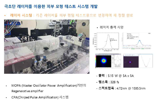 레이저 시스템 및 출력 사양