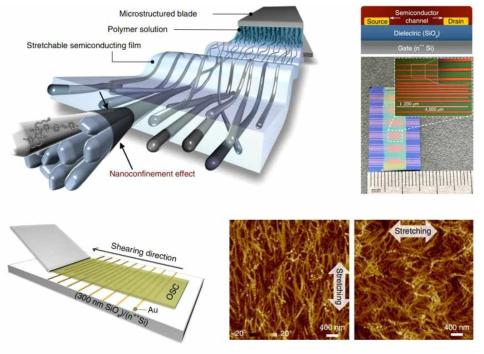 용액 공정 기반 stretchable 유기 반도체 구현 기술