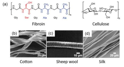 천연 실크 섬유의 핵심을 구성하는 피브로인의 단백질 고분자 골격과 식물 섬유의 골격을 구성하는 셀룰로오스의 화학 구조