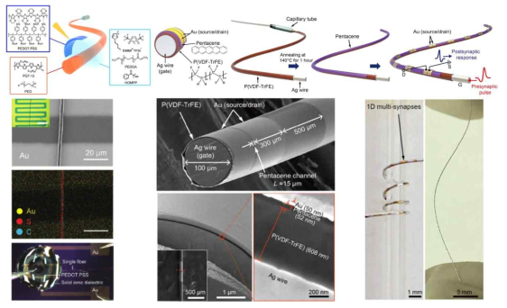 이온겔 및 고분자 유전체를 이용한 1D 섬유 기반 뉴로모픽 트랜지스터 구현 기술