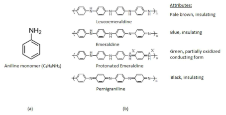 아닐린 단량체 (a) 및 폴리아닐린의 3 가지 형태와 PANI-EB 도핑 [Ramakrishnan 1997]