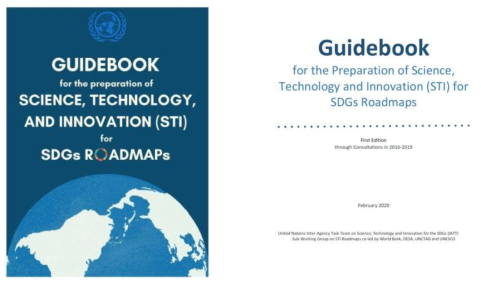 유엔기구간 업무팀의 국가로드맵 수립 준비 가이드북(2020)