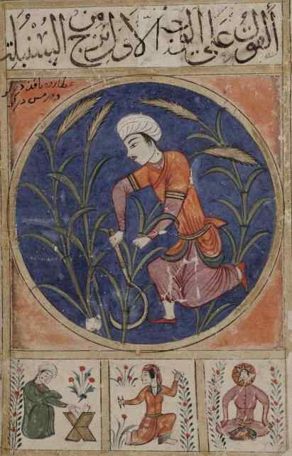 Sünbüle (쌍녀) ve Delv (보병) 궁, Ebû Ma‘şer el-Belhî의 Kitâbü’l-bulhân’ı, 1399, OBL., Ms.Or.133, y.11b, 21b