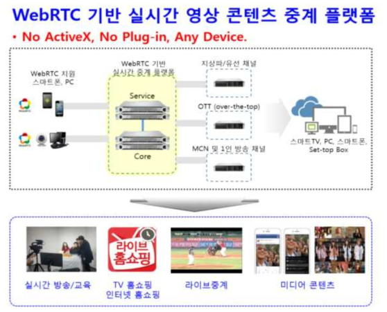 시범사업 수행 목표