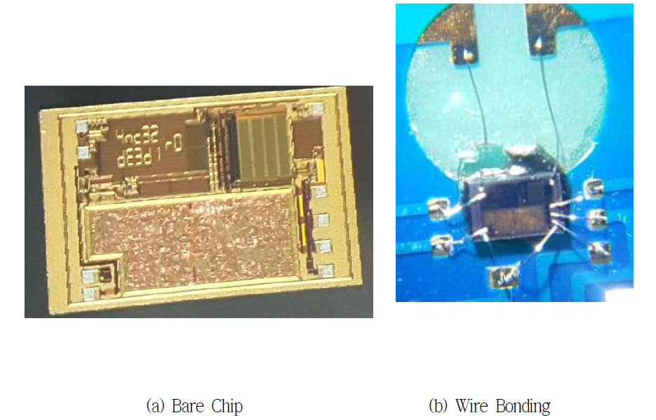 가시광 TAG Chip 및 Wire Bonding 사진