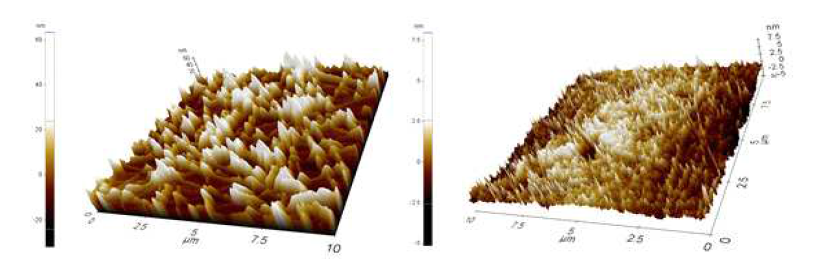 은 나노와이어 기반 투명전극(좌)과 함침형으로 제작한 은 나노와이어 기반 투명전극(우)의 AFM 이미지