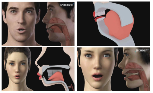 3D 모델링 기반 구강애니메이션 멀티미디어 동영상