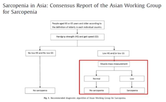 근감소증 진단 프로세스