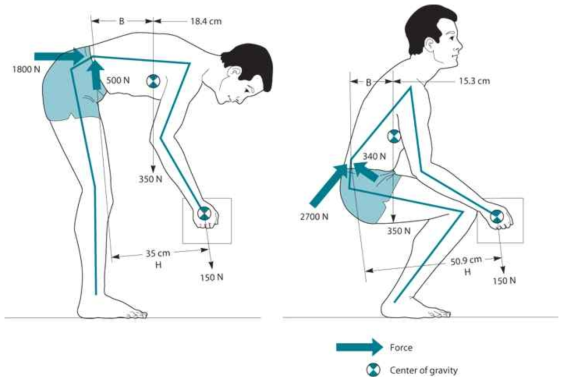 생체역학 프레임워크