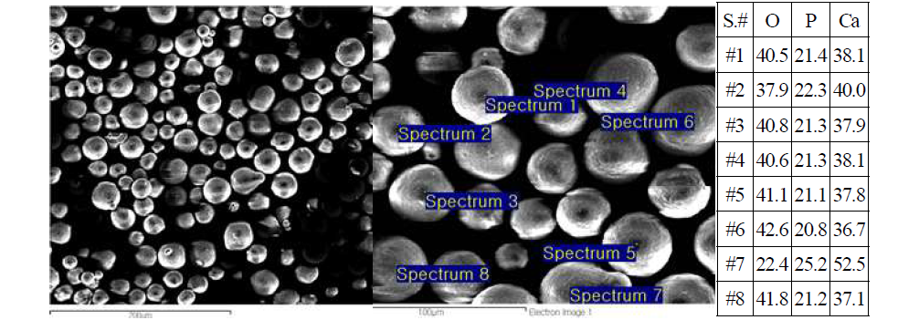 사용한 hydroxyapatite(HA)의 SEM 형상과 EDX로 분석한 분말조성