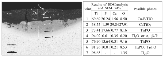 레이저 출력 120 w, 스캔속도 120 mm/sec.에서 cladding한 비드 다면의 SEM 사진과 표면에서 깊이 방향으로 EDS로 분석한 결과
