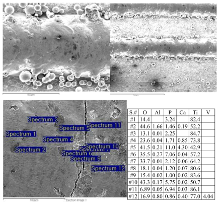Ti 적층한 후 100%HA로 주사속도 5 mm/sec., 레이저 출력 110 w 및 분말 공급속도 0.6 g/min. 적층한 bead의 SEM 형상과 표면 EDX 조성 분석 결과